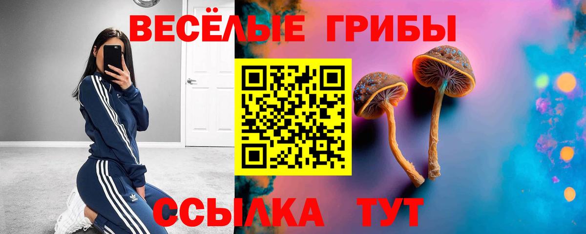 Малгобек  Псилоцибиновые грибы GOLDEN TEACHER  что такое   Вход с VPN 