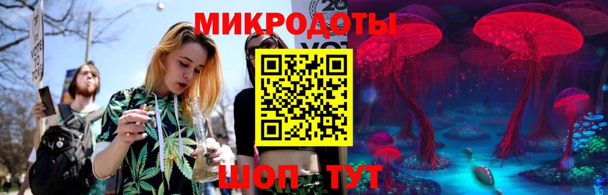 Галлюциногенные грибы прущие грибы Малгобек